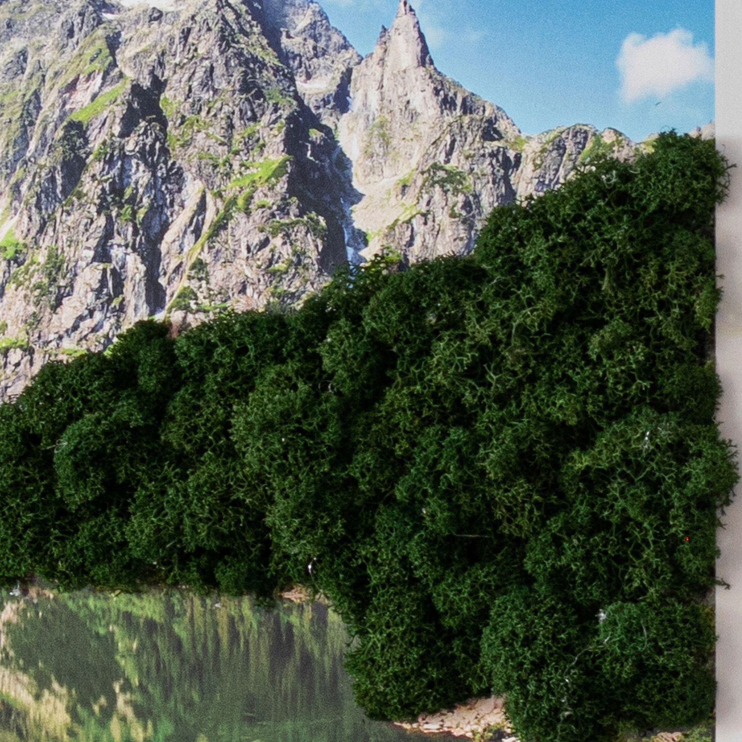 obraz_zo_stabilizovanym_machom_tatranske_morske_oko_60x40_b